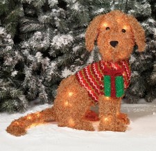 Fluffy light goldendoodle for sale  Bismarck