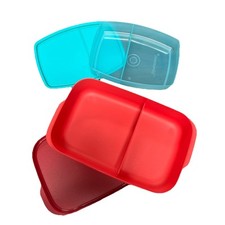 Lancheiras Tupperware recipientes divididos x 2 , usado comprar usado  Enviando para Brazil