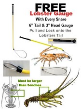 Yellow lobster snare d'occasion  Expédié en Belgium