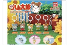 Accessori tottoko hamtaro usato  Spedire a Italy