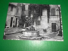 Cartolina nerola piazza usato  Vimodrone