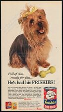 1959 yorkie yorkshire for sale  Denver