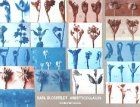 Karl blossfeldt arbeitscollage gebraucht kaufen  Berlin