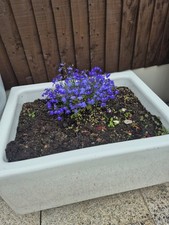 Belfast garden sink for sale  RIPLEY