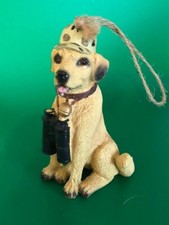 Yellow labrador retriever for sale  Encino