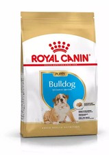 Royal canin bulldog usato  San Prisco