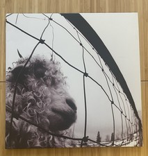 Pearl jam vs. for sale  Los Angeles