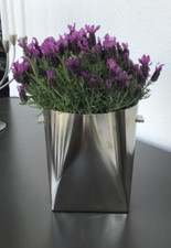 Lambert edelstahl blumentopf gebraucht kaufen  Schiffdorf