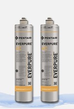 Everpure 9601 pack usato  Capannori