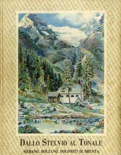 Dallo stelvio tonale usato  Trento