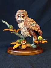 Country artists tawny for sale  UCKFIELD