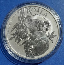 Australia 2024 koala usato  Val di Zoldo