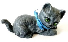 Black kitty cat for sale  Minneapolis