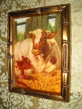 Mother cow calf for sale  Fresno
