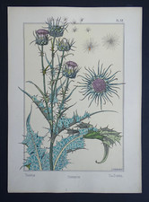 Verneuil grasset lithographie d'occasion  Paris XVIII