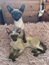 Country artists siamese for sale  BEDFORD