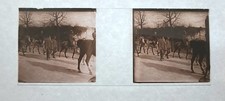 Photo ww1 plaque d'occasion  Paris XIII