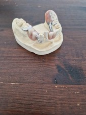 Schaumodell modellgus prothese gebraucht kaufen  Hamburg