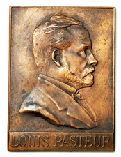 Médaille plaque louis d'occasion  Avignon