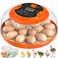 Egg incubator automatic for sale  Baldwinsville