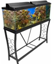 100 gallon fish for sale  Chicago