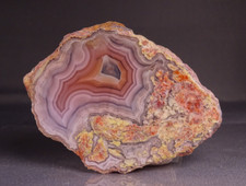Laguna agate half for sale  Tucson