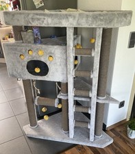 Kratzbaum gebraucht kaufen  Alfter