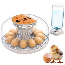 M12 couveuse oeuf d'occasion  Rouen-
