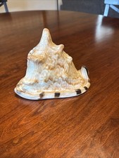 Large horned helmet for sale  Somerville