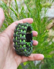 moss man usato moss man usato Veroli