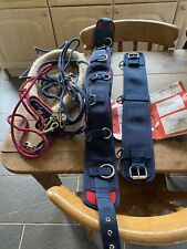pessoa lunging aid for sale pessoa lunging aid for sale SHEPTON MALLET