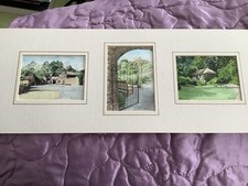 Small watercolour prints for sale  EVESHAM