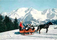 Animaux chevaux panorama d'occasion  Fruges