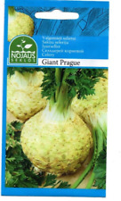 Graines céleri rave d'occasion  Saint-Macaire-en-Mauges