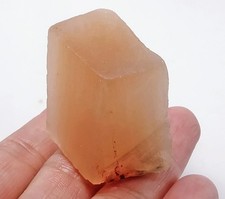 194ct natural orange for sale  Walnut