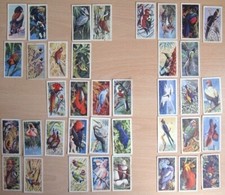 Brooke bond picture for sale  ASHFORD