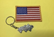 états unis badge d'occasion  Rognes