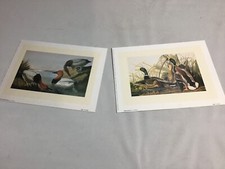Pair 6x8in audubon for sale  Crete