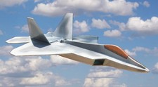 F22 raptor fun usato  Spedire a Italy