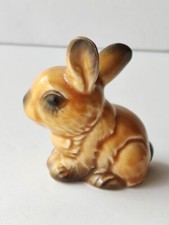 super sweet bunnies for sale super sweet bunnies for sale Marshall