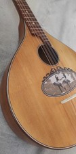 Vogtländische waldzither hamb gebraucht kaufen  München