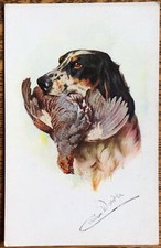Gordon setter dog for sale  HUDDERSFIELD