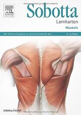 Sobotta lernkarten muskeln gebraucht kaufen  Berlin