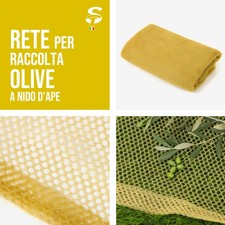 Rete raccolta olive usato  Bientina