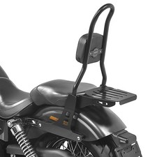 Defekt sissy bar gebraucht kaufen  Meinerzhagen