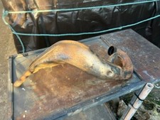 Vends pot échappement d'occasion  Cannes-La-Bocca