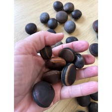 Sea bean hamburger for sale  Port Saint Lucie