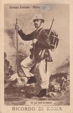 C876 adunata alpini usato  Lugo