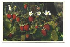 Fancy wood strawberry d'occasion  Expédié en Belgium