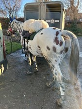 Endurance saddle professional for sale  DERBY